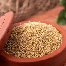 Foxtail Millet